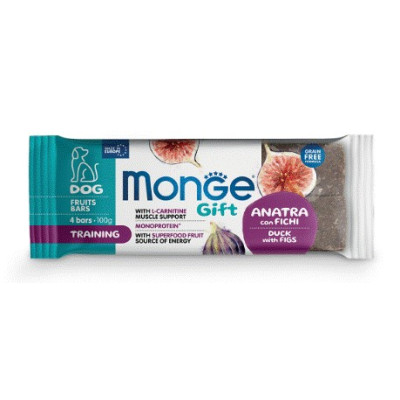 MONGEGIFTD FBAR TRAIN ANA/FICHI 100 GR