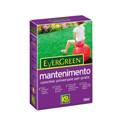 KB  EVERGREEN MANTENIMENTO KG 2
