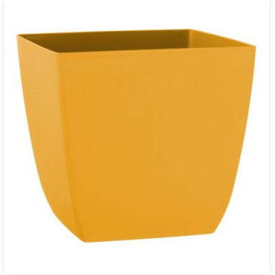 VASO SANTIAGO DM 11 CURRY