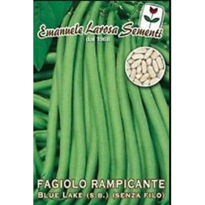 RETE PER SALAMI Q.26