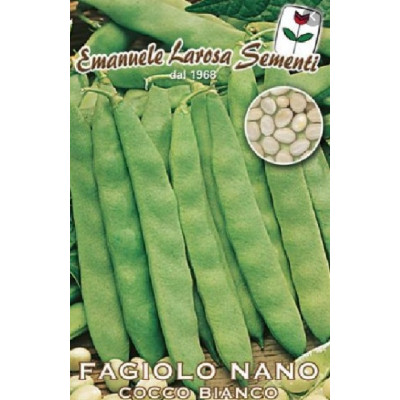 FAGIOLO COCCO NANO BIANCO   GR 500