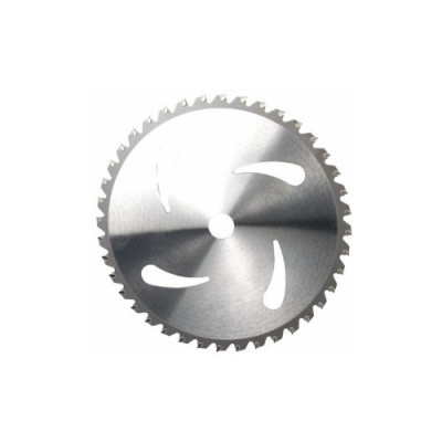 DISCO 40 DENTI 255