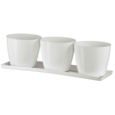 VASI TRIO MADEIRA  COLOUR 35 BRUNO