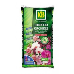 KB TERRICCIO ORCHIDEE LT 10