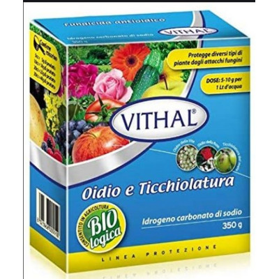 VITHAL IDROGENO CARBONATO DI SODIO GR 350