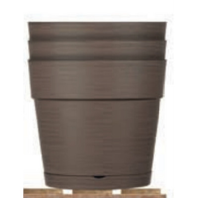MONGE  FRESH CANE AGNELLO GR 100  CONF. 24 PZ