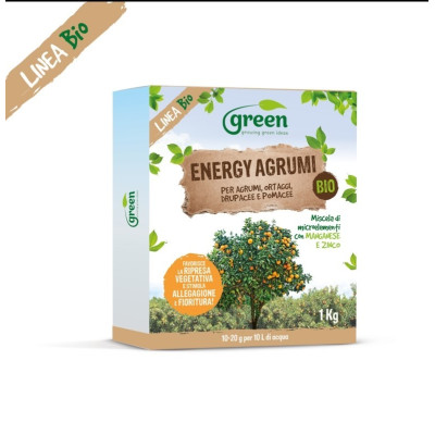 GREEN ESTRATTO DI ORTICA 100 ML