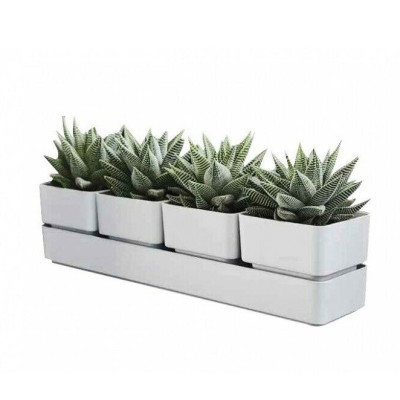 VASO SIERRA 38 SNOW